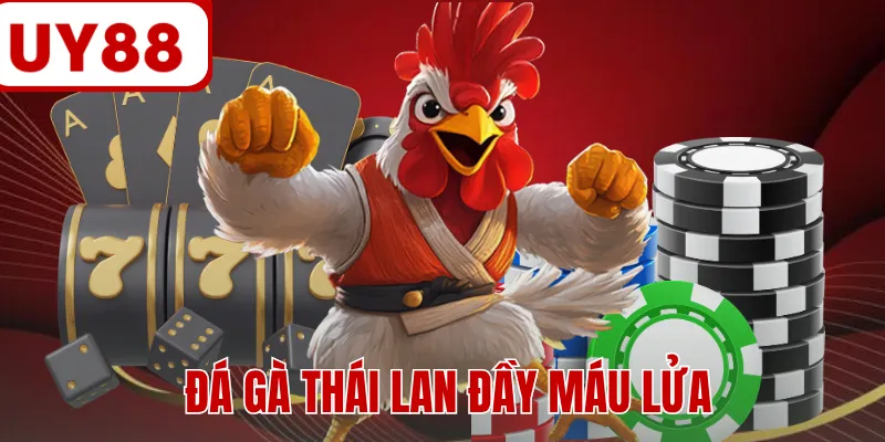 Đá gà Thái Lan đầy máu lửa